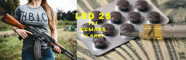 мдпв Володарск