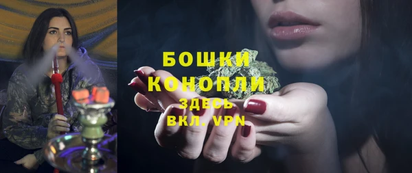 мдпв Володарск