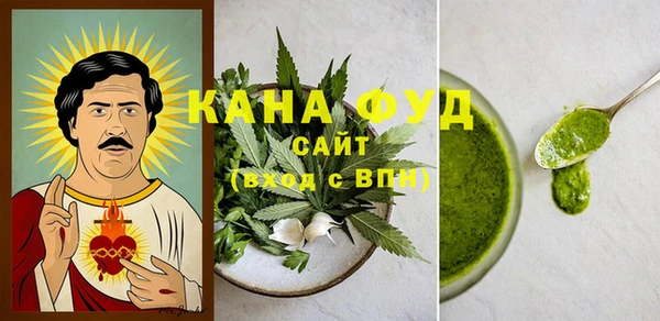 мдпв Володарск