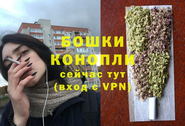 мдпв Володарск