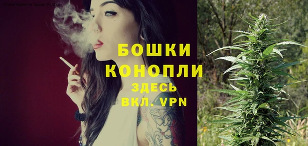 мдпв Володарск