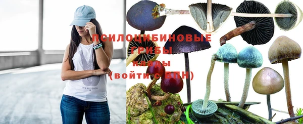 mdpv Волосово