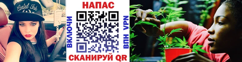 Шишки марихуана THC 21% кракен ссылки Ессентукская